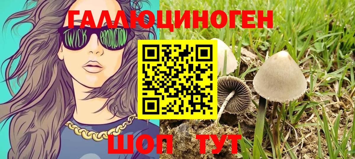 Краснокаменск  Галлюциногенные грибы GOLDEN TEACHER  Вход с VPN 